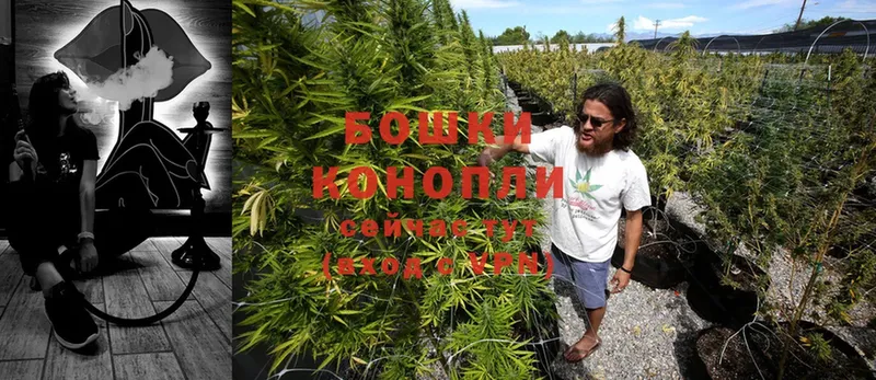 Канабис SATIVA & INDICA  это клад  Абаза  купить наркотик 